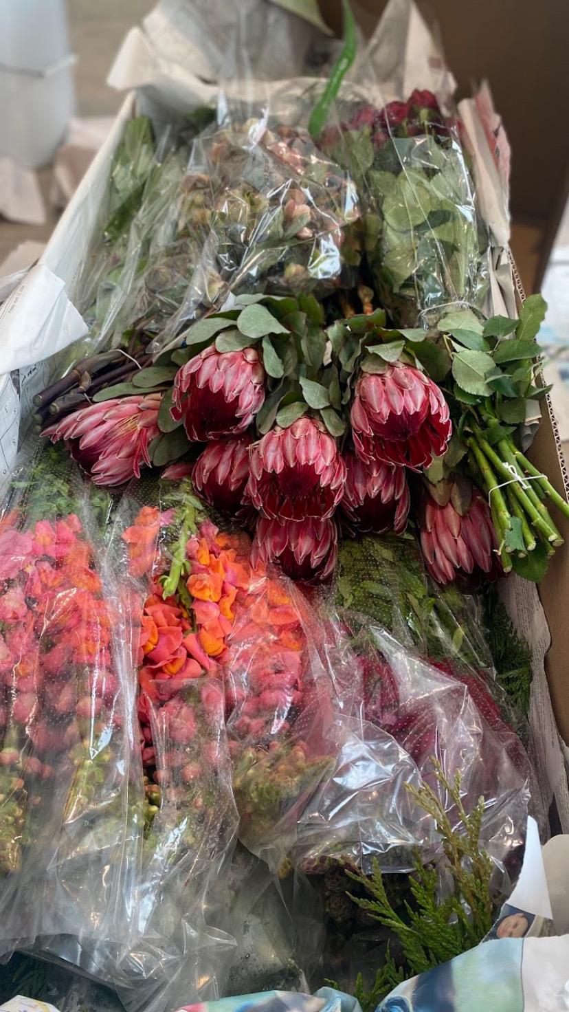 Protea and snapdragon detail