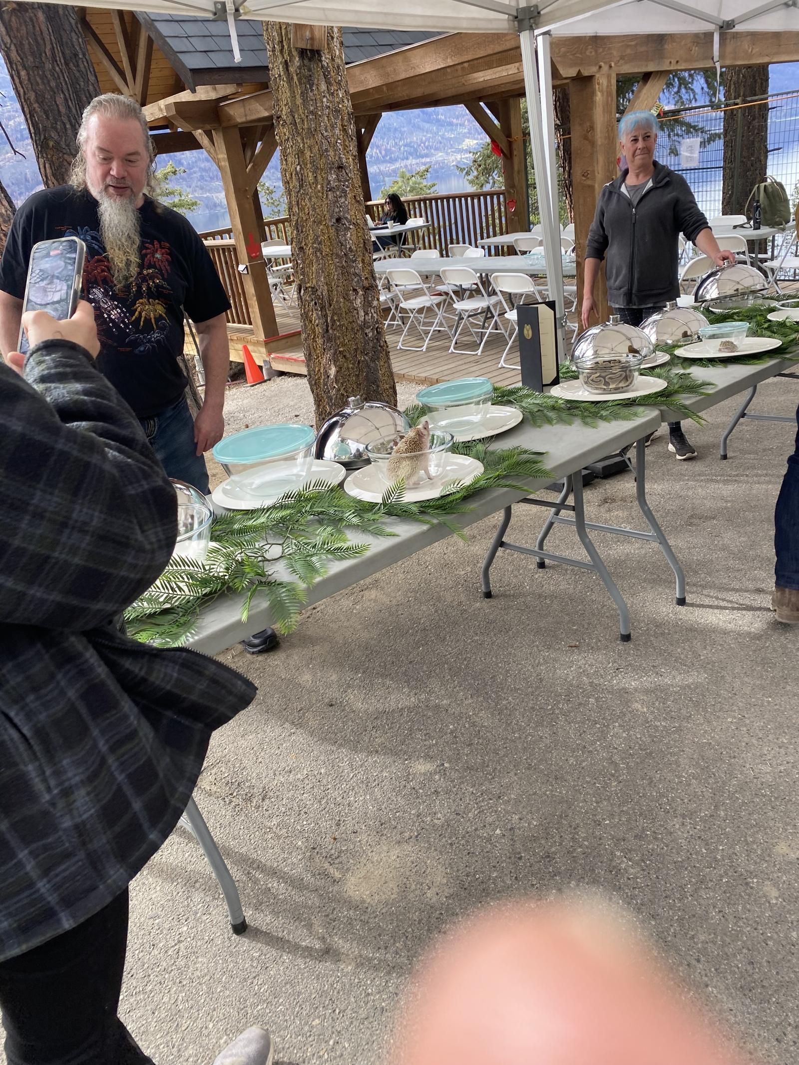 Preparing the Silver Cloches with rodents