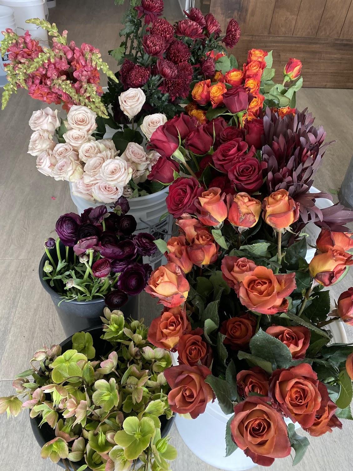 Roses, hellebores, and snapdragons hydrating in the studio